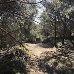 Apartamento El Sobraillo *